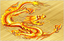 公司簡(jiǎn)介